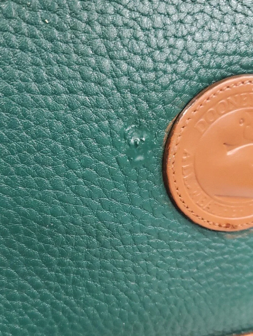 VINTAGE Dooney & Bourke Green and Tan Leather Satchel Bag with Matching Wallet